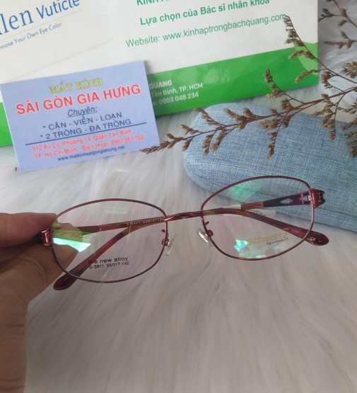 GỌNG KÍNH KIM LOẠI  SCHWARTZ MSS- ̣̀5971 C8