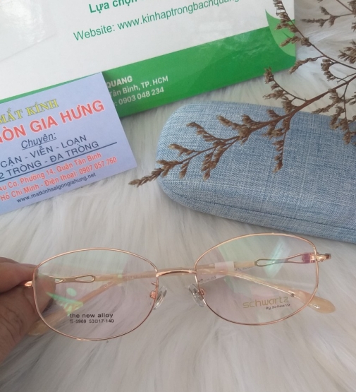 GỌNG KÍNH KIM LOẠI SCHWARTZ MSS- 5969 C11