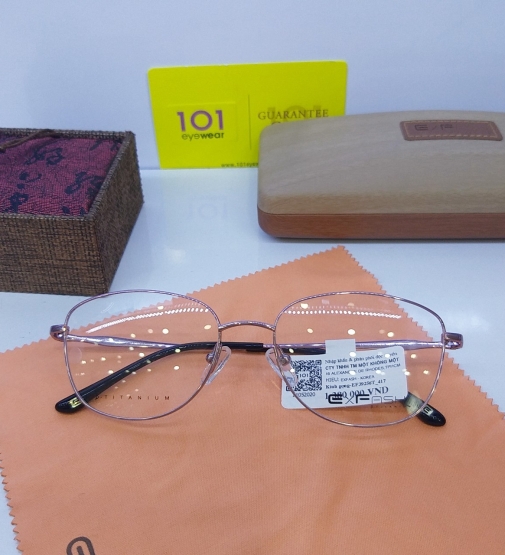 Gọng Kính TiTan Cao Cấp EXFASH EF39256T