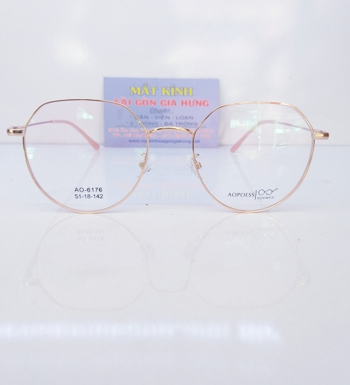 Gọng Kim Loại AOPOESS KL6176
