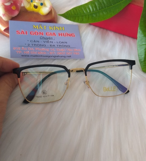 GỌNG KÍNH TITANIUM   BeLLE MS - T9002