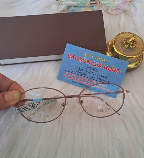 GỌNG KÍNH TITANIUM WELEV 1365 53[]16-143 C5
