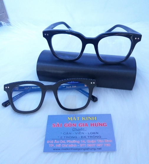 Gọng Nhựa GENTLE MONSTER GN8769